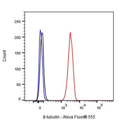 Alexa Fluor® 555 Rabbit IgG Isotype Control Antibody (S-R058)