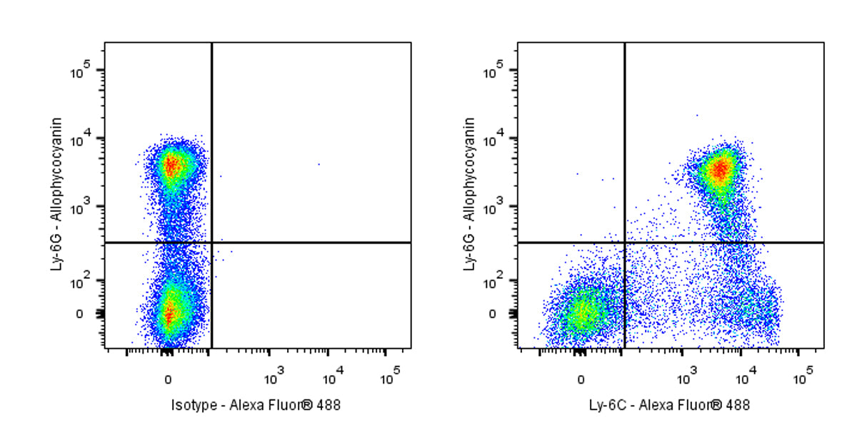 Alexa Fluor® 488 Rat Anti-Mouse Ly-6C Antibody (HK1.4)