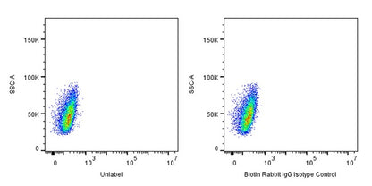 Biotin Rabbit IgG Isotype Control (S-R058)