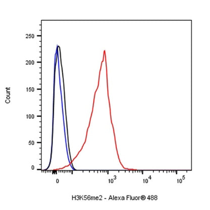 Histone H3 (di methyl K56) Recombinant Rabbit mAb (S-R427)