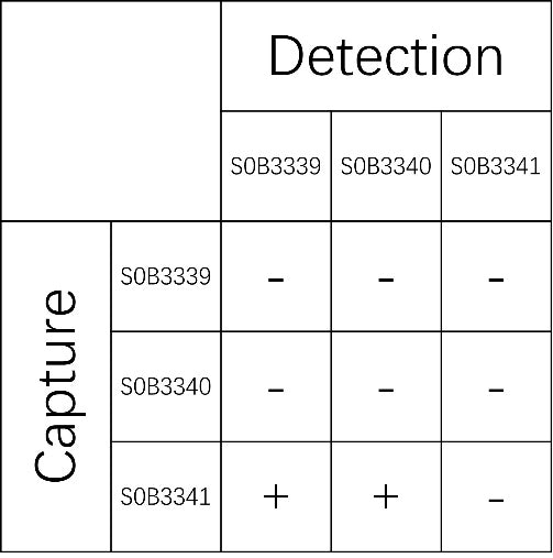 Glypican-3 Recombinant Rabbit mAb (SDT-802-245)
