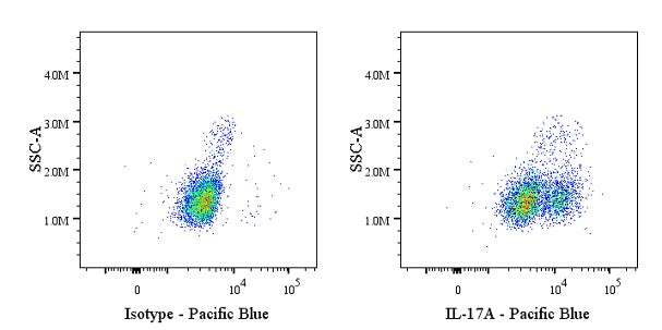 Pacific Blue Rat Anti-Mouse IL-17A Antibody (S-R683)
