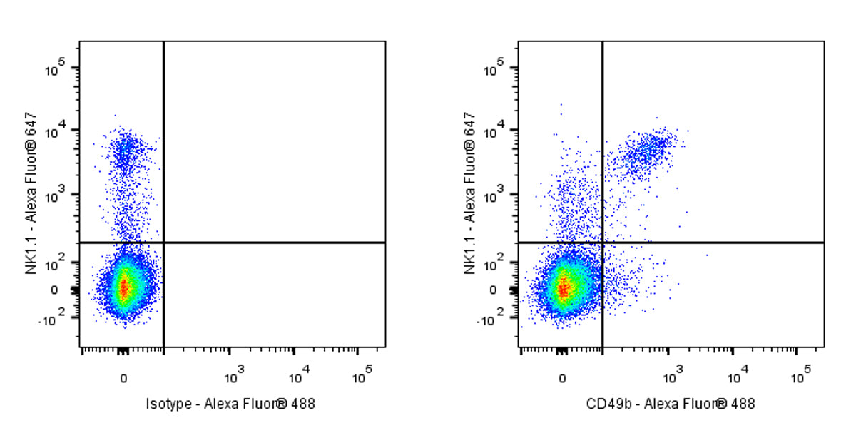 Alexa Fluor® 488 Rat Anti-Mouse CD49b Antibody (DX5)