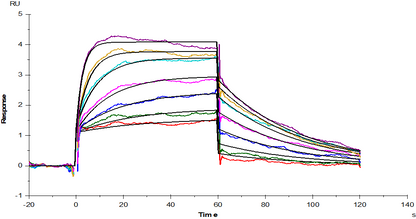 FGF-21 Protein, Mouse