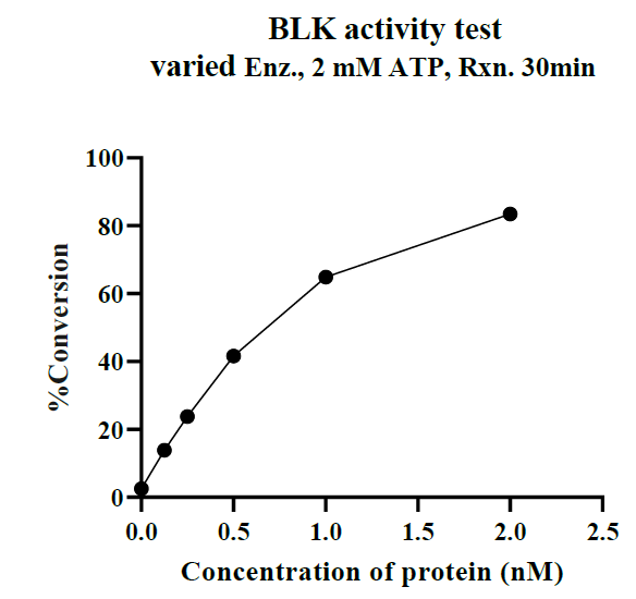 BLK GST Tag Protein, Human