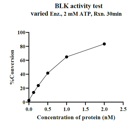 BLK GST Tag Protein, Human