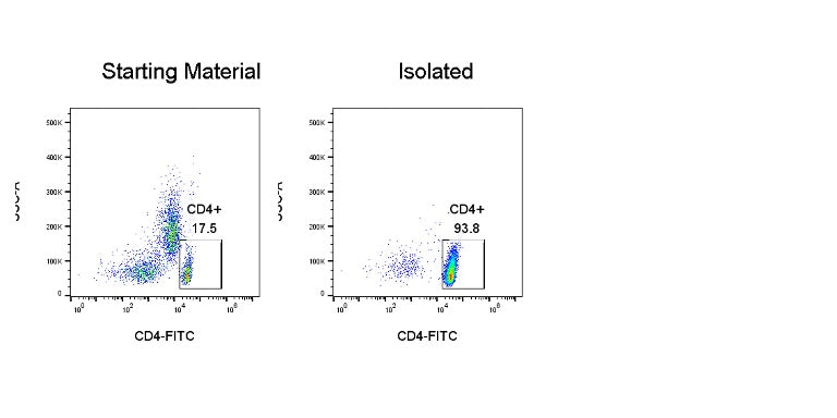 Human CD4 T Cell Isolation Kit (Column-Based)