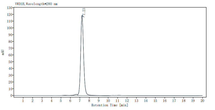 IL-1 RII/CD121b Fc Chimera Protein, Human