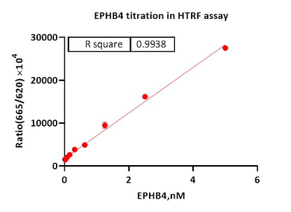 EPHB4 Protein