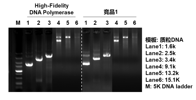 High-Fidelity DNA Polymerase Kit