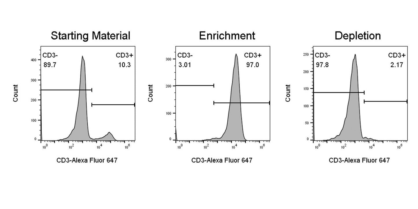 S Separation Columns