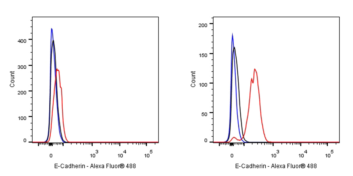 E-Cadherin Recombinant Rabbit mAb (SDT-438-45)