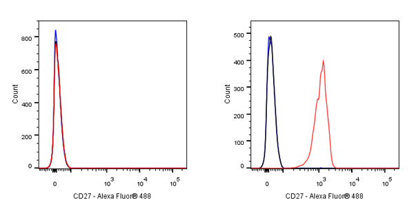 CD27 Mouse mAb (S-568-2)