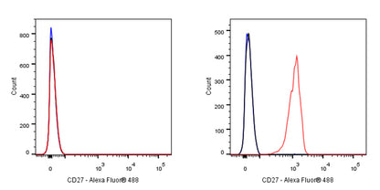 CD27 Mouse mAb (S-568-2)