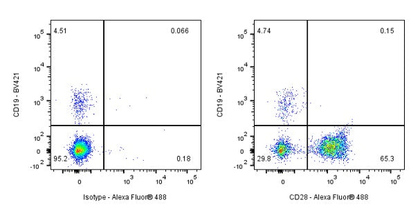 Mouse Anti-Human CD28 Antibody (9.3)