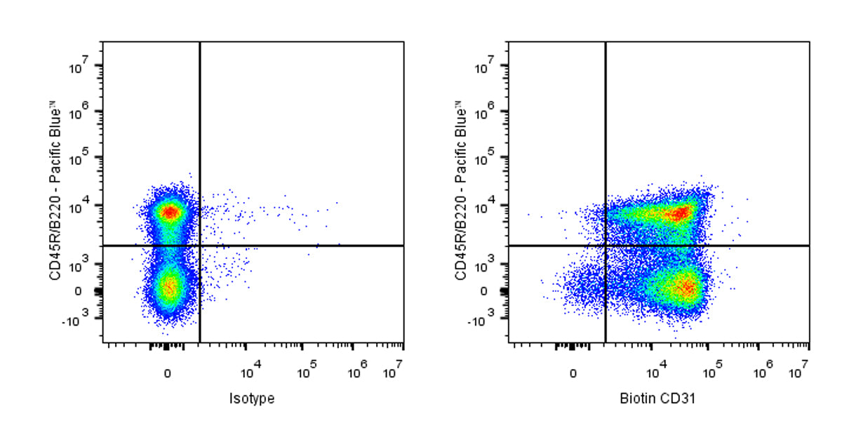 Biotin Rat Anti-Mouse CD31 Antibody (MEC13.3)