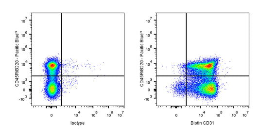 Biotin Rat Anti-Mouse CD31 Antibody (MEC13.3)