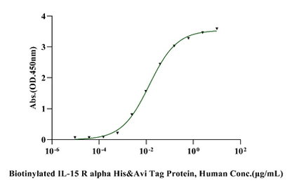 Biotinylated IL-15 R alpha His&Avi Tag Protein, Human