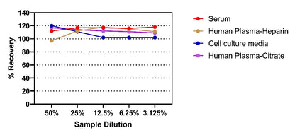 Human Hyaluronidase PH-20(SPAM1) Onestep ELISA Kit