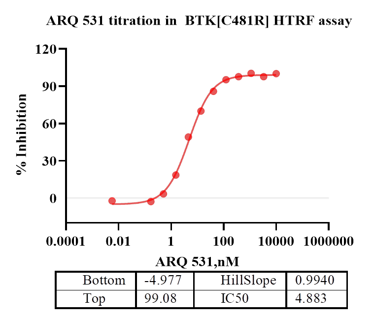 BTK[C481R] Protein