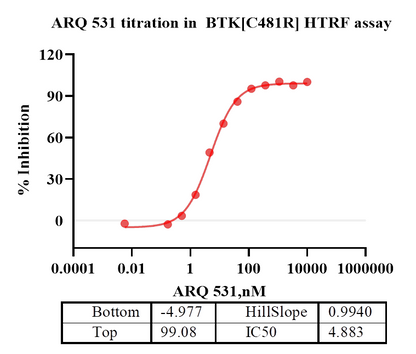 BTK[C481R] Protein