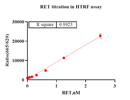 RET Protein