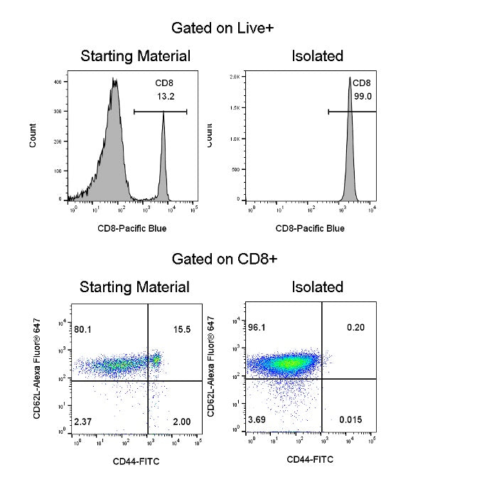 Mouse Naïve CD8 T Cell Isolation Kit (Column-Free)