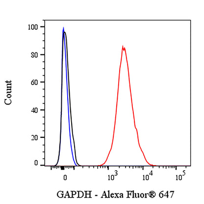 GAPDH Recombinant Mouse mAb (Alexa Fluor® 647 Conjugate) (S-4721)