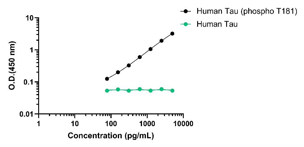 Human Tau (phospho T181) OneStep ELISA Kit