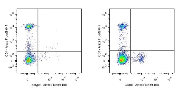 Rat anti-Mouse CD8α Antibody (53-6.7)