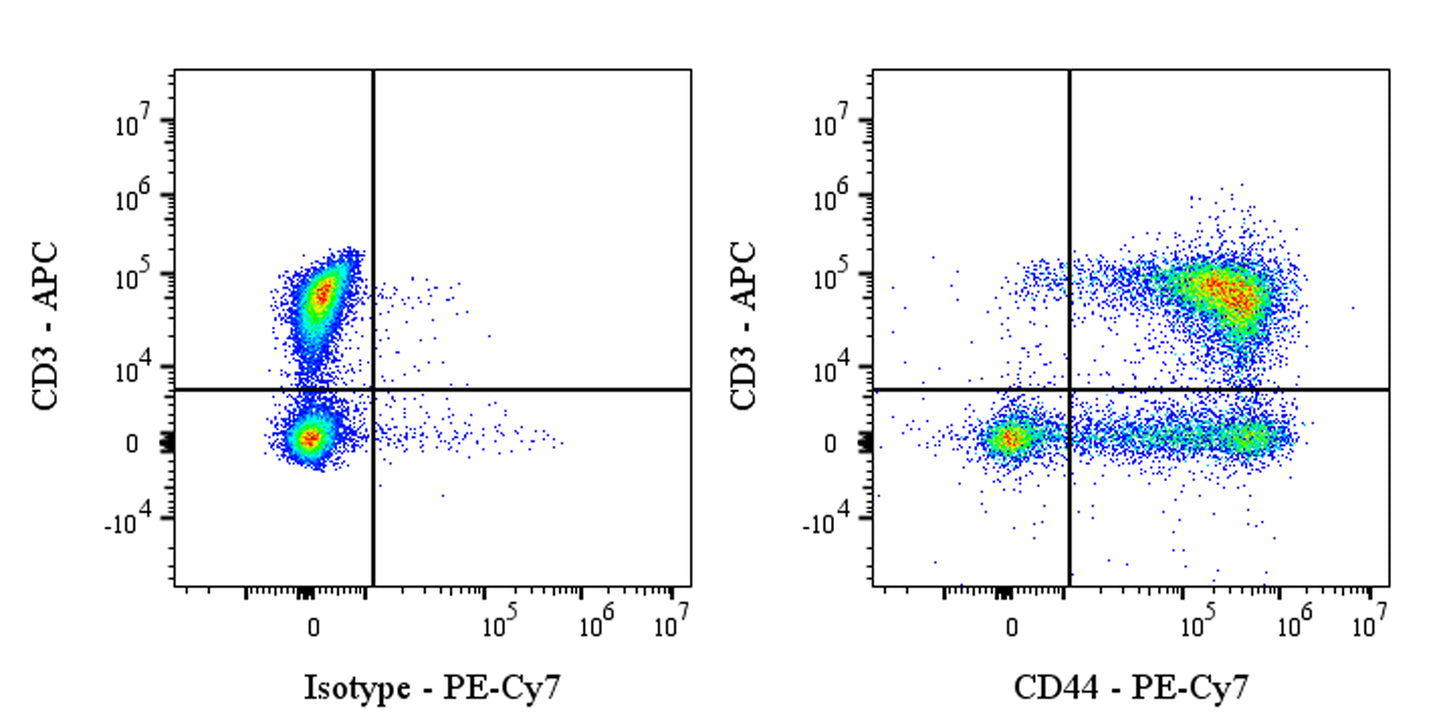 PE-Cy7 Mouse Anti-Rat CD44H Antibody (OX-49)