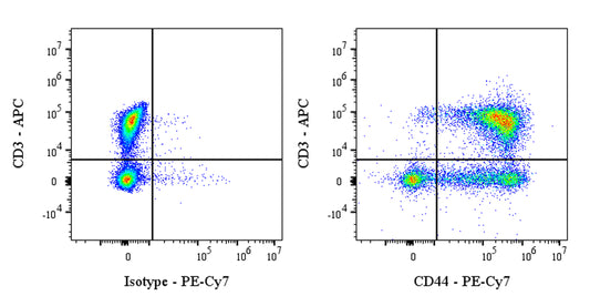 PE-Cy7 Mouse Anti-Rat CD44H Antibody (OX-49)