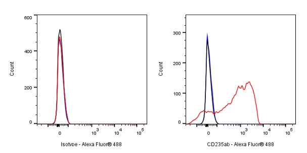 Mouse Anti-Human CD235a/b Antibody (HIR2)