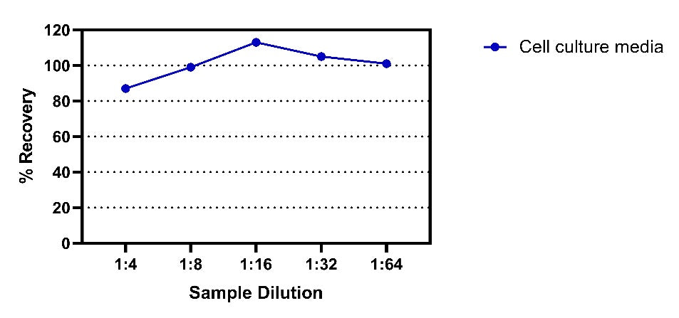 Rat IgA OneStep ELISA Kit