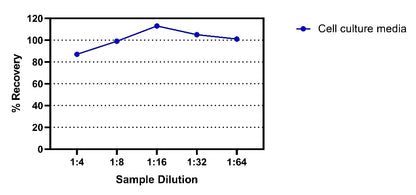 Rat IgA OneStep ELISA Kit