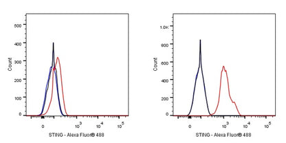 STING Recombinant Rabbit mAb (S-1392-33)