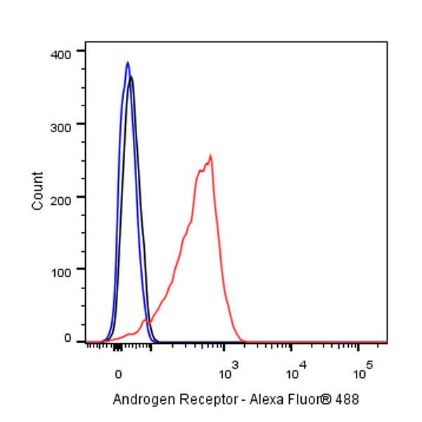 Androgen Receptor Recombinant Rabbit mAb (SDT-R167)