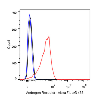 Androgen Receptor Recombinant Rabbit mAb (SDT-R167)