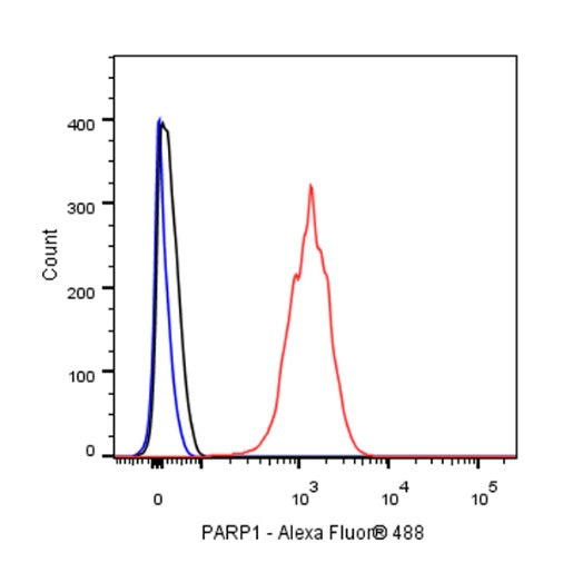 PARP1 Recombinant Rabbit mAb (S-R299)