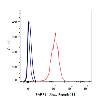 PARP1 Recombinant Rabbit mAb (S-R299)