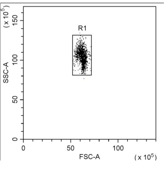 Human Th1/Th2 & Inflammation 8-Plex Kit (Flow Cytometry Multiplex Bead Assay)