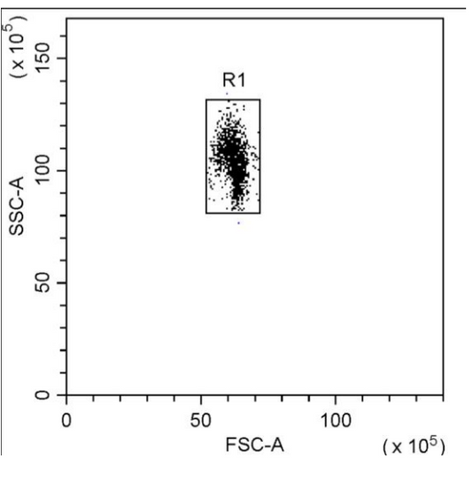 Human Th1/Th2 & Inflammation 8-Plex Kit (Flow Cytometry Multiplex Bead Assay)