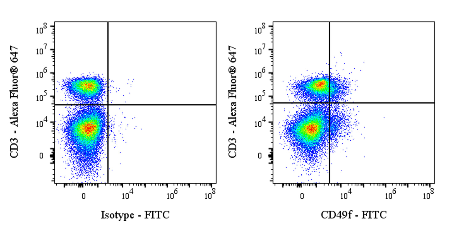 FITC Rat Anti-Mouse/Human CD49f Antibody (GoH3)