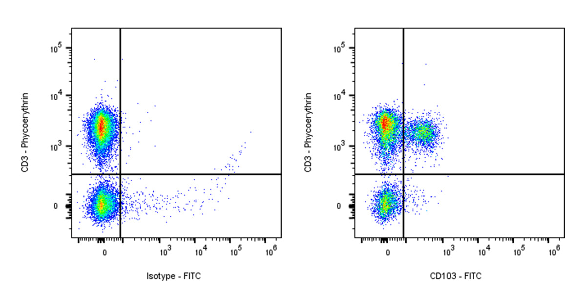 FITC Armenian hamster Anti-Mouse CD103 Antibody (S-R692)