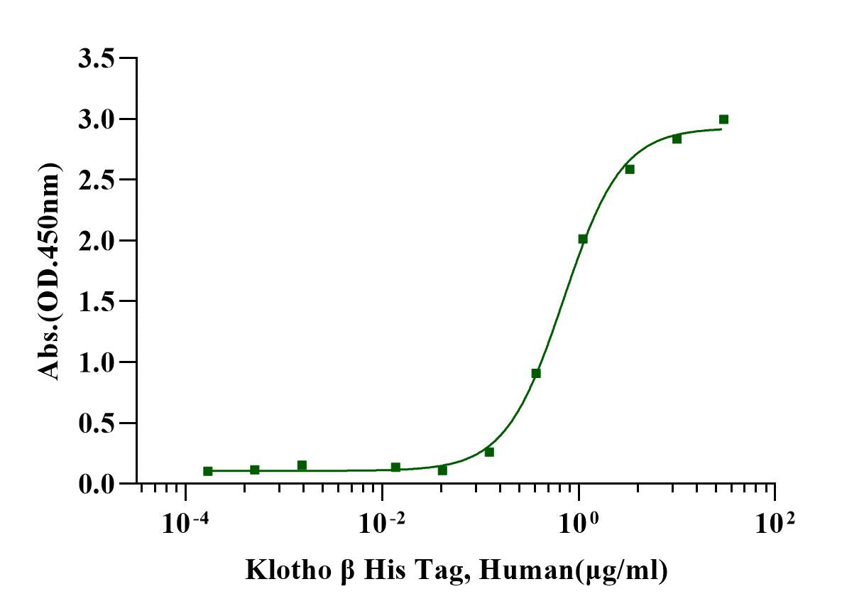 Klotho β Protein, Human
