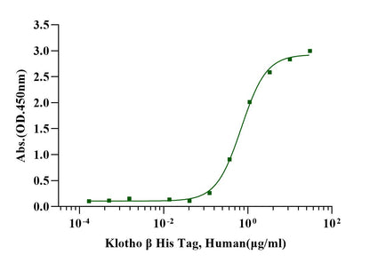 Klotho β Protein, Human