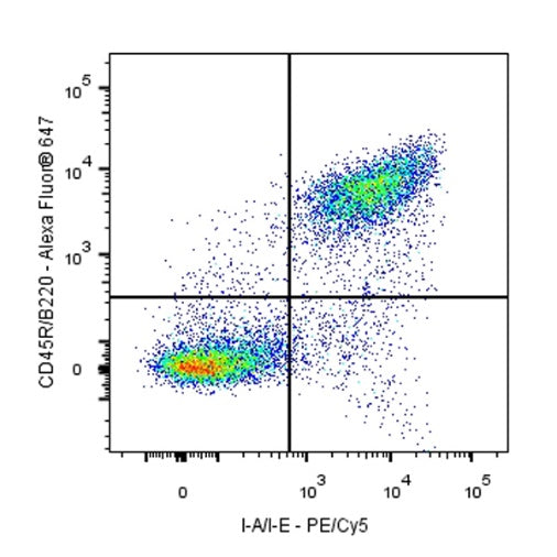 PE-Cy5 Rat Anti-Mouse I-A/I-E Antibody (M5/114.15.2)