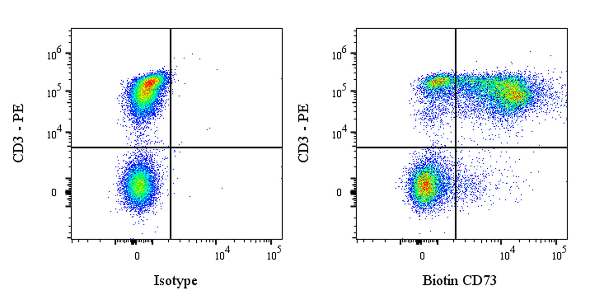 Biotin Recombinant Rabbit mAb (Alexa Fluor® 488 Conjugate) (S-3083)