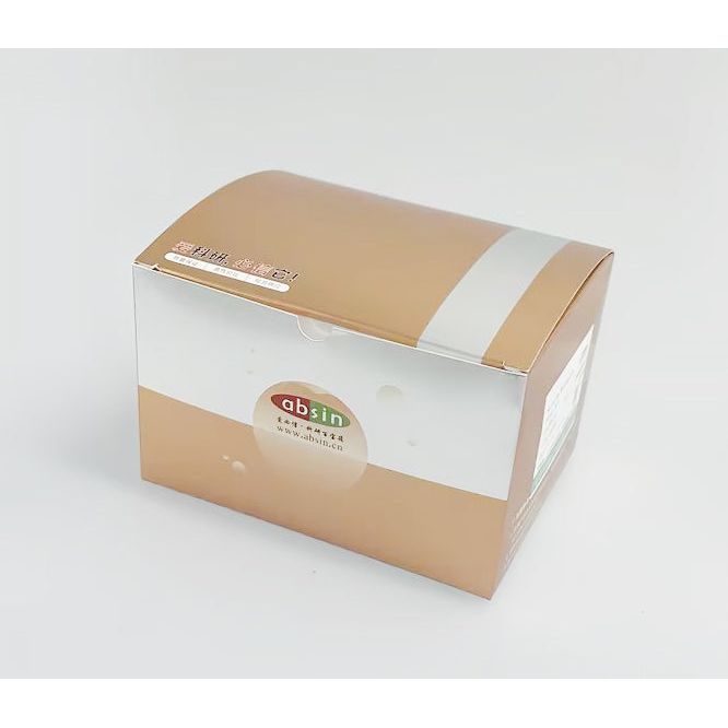 Product image media