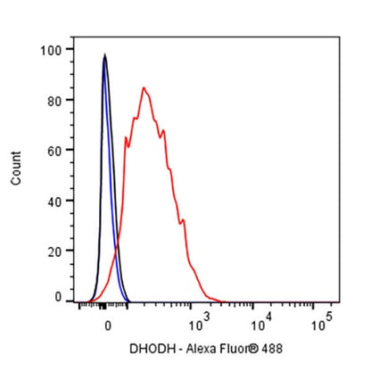 DHODH Recombinant Rabbit mAb (S-2055-30)